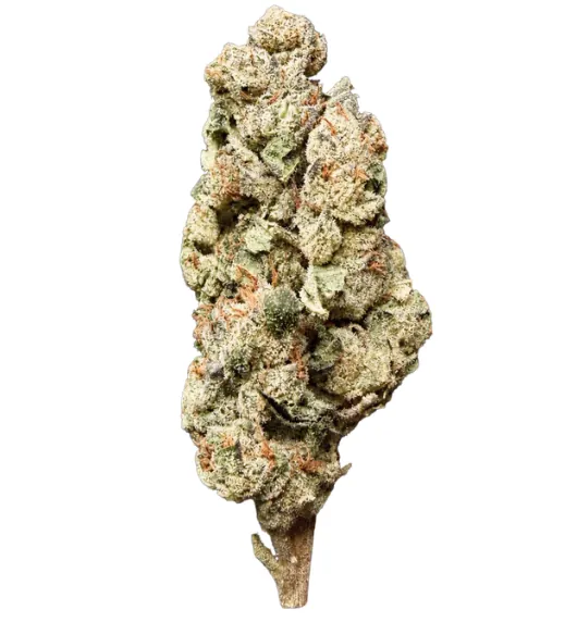 Red Velvet Gary Thca Flower